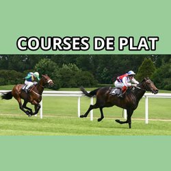 differentes courses hippiques
